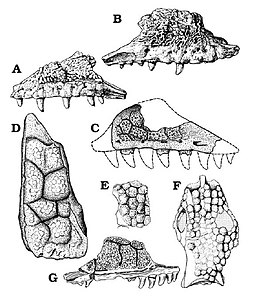 Monstersauria