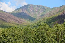 Mount LeConte při pohledu z Carlos Campbell Overlook, květen 2017.jpg