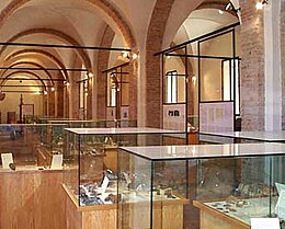 Museo Archeologico di Cesena - Cesena.jpg