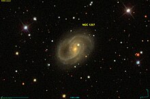 NGC 1207 SDSS.jpg