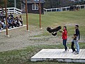 2010年4月26日 (月) 23:38時点における版のサムネイル