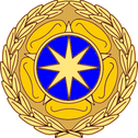 Нагрудный знак награды за заслуги перед национальной разведкой .png