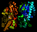 Thumbnail for Nucleotide pyrophosphatase/phosphodiesterase