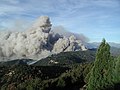 Vignette pour la version du 13 juillet 2018 à 04:27