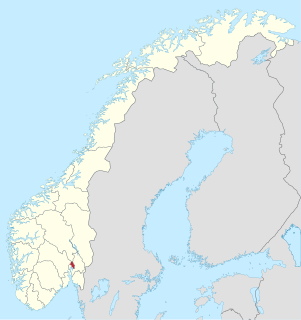 Oslo (Storting constituency) Constituency of the Storting, the national legislature of Norway