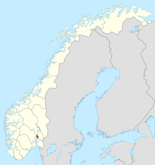 <span class="mw-page-title-main">Oslo (Storting constituency)</span> Constituency of the Storting, the national legislature of Norway