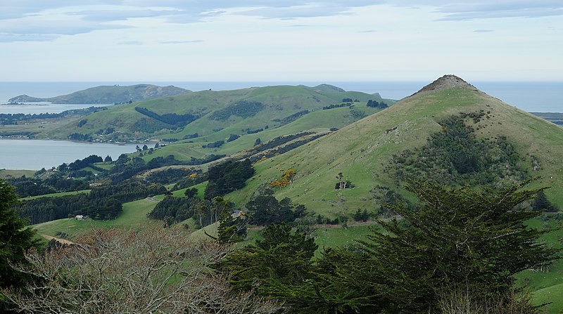 File:Otago Peninsula and Harbour Cone.jpg