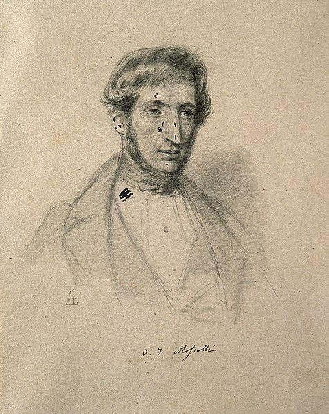 File:Ottavio Fabrizio Mossotti. Pen drawing by C. E. Liverati, 18 Wellcome V0004146.jpg