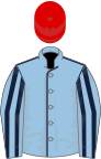 Light blue, dark blue seams, striped sleeves, red cap