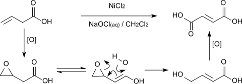 Zweifache Oxidation von 3-Butensäure