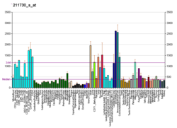 PBB GE POLR2L 211730 s bei fs.png