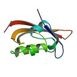 PBB Protein KCNH2 image.jpg
