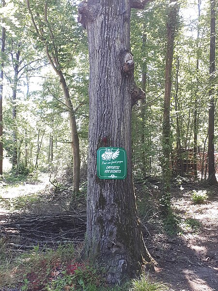 File:Panneau pour une forêt propre en forêt de Coubert.jpg
