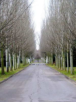 Cimetière parisien de Pantin