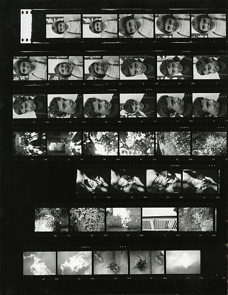 File:Paolo Monti - Serie fotografica (Livigno, 1975) - BEIC 6359945.jpg