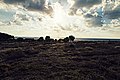 Paphos, Cyprus - panoramio (69).jpg