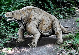 A Pareiasaurus serridens számítógépes rekonstrukció