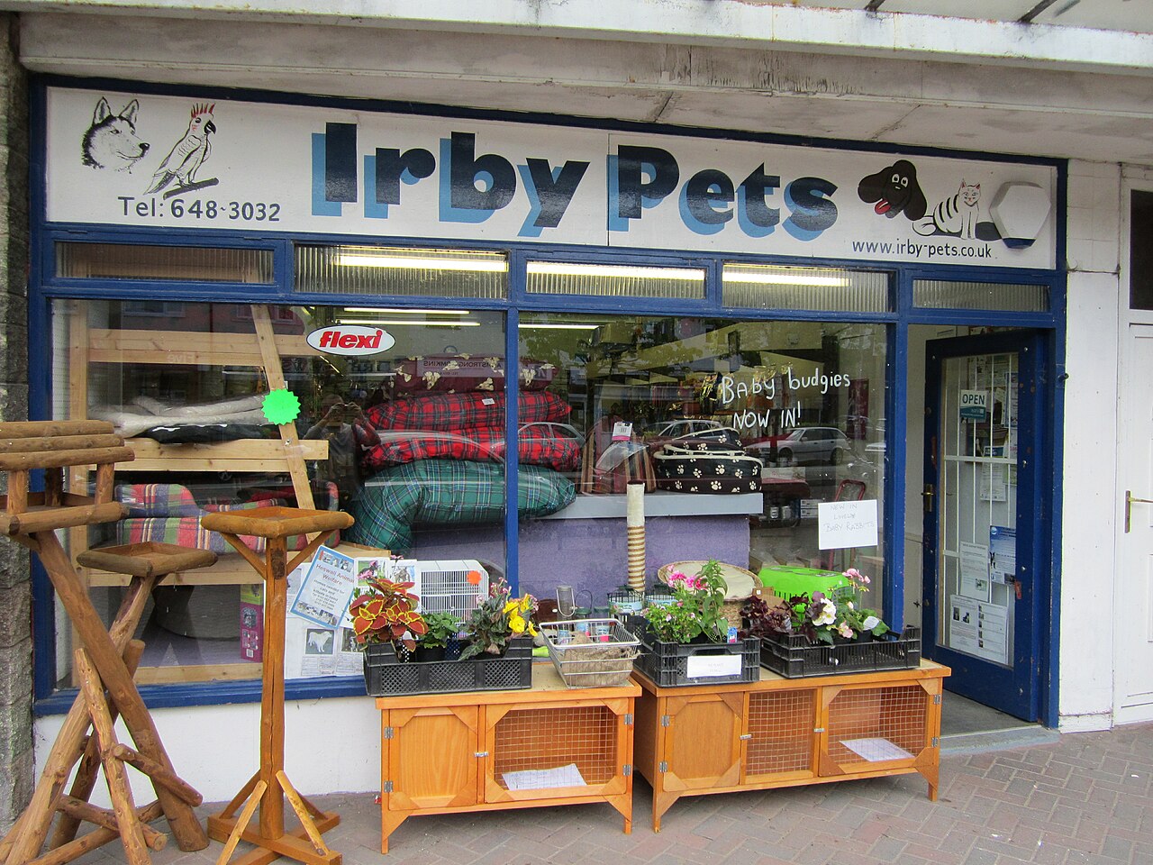 File:Pet shop, Irby - IMG 0882.JPG - Wikimedia Commons