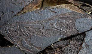 Petroglyfer i Tanbaly