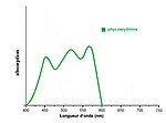 Vignette pour Phycoérythrine