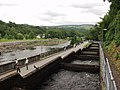 Thumbnail for Pitlochry fish ladder