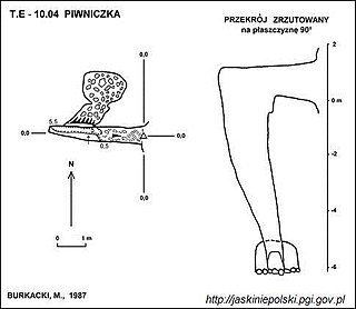 <span class="mw-page-title-main">Piwniczka</span>