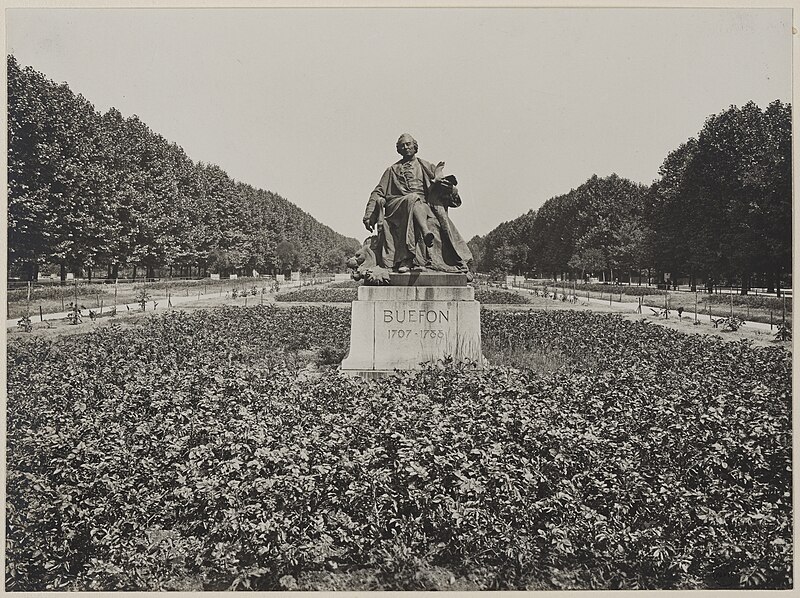 File:Plantation de pommes de terre, autour de la statue de Buffon de Jean Carlus (1852-1930), jardin des Plantes, 5ème arrond, PH58196 (1 of 2).jpg