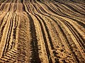 2011-04-16T08:30:34Z : user:Raghith : File:Plowed land 1r.jpg