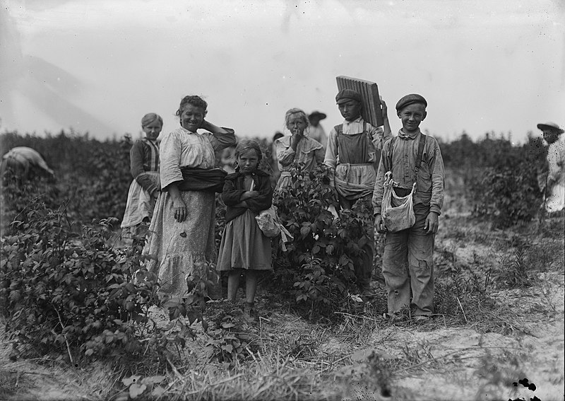 File:Polish berry pickers.jpg