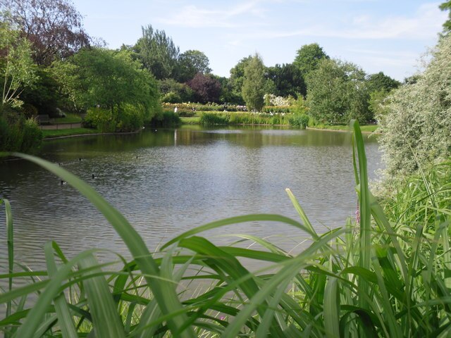 Image: Pond view   geograph.org.uk   1459516