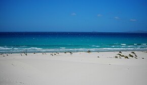 Le dune della spiaggia di Porto Pino