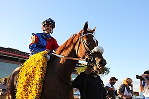 プリークネスステークス優勝時のスイススカイダイバー