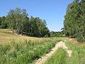 en: Periglacial arroyo „Steile Kieten“, typical in landscape Fläming