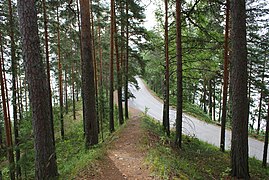 Route de Punkaharju.