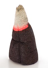 A Raucherkerzchen
- A charcoal-based incense cone Raucherkerzchen.jpg