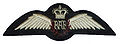 RAF pilot brevet (Queen's Crown).jpg