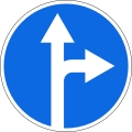 Go straight or right