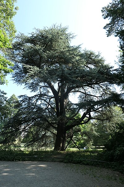 File:Rennes - parc du Thabor 09.jpg