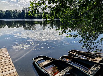 Datei:Rinssee.jpg