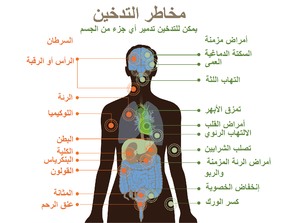 Risks form smoking-smoking can damage every part of the body (ar).png