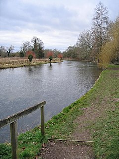 River Anton river in Hampshire, United Kingdom