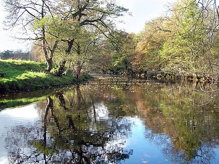 River Derwent near Hathersage