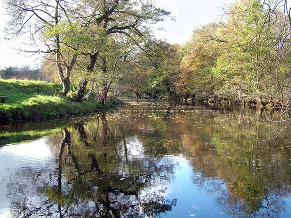 The River Derwent, near Hathersage