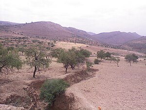 Road to Ouzoud Falls-abdessamad07-04.jpg