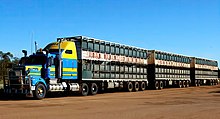 A three-trailer livestock road train in Australia Road train (25).jpg