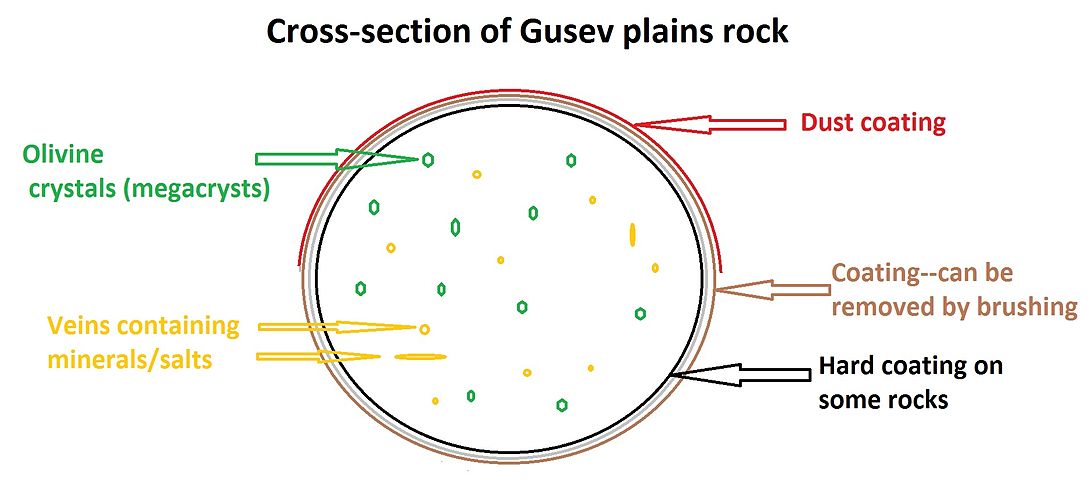 Cross-sectional drawing of a typical rock from the plains of Gusev crater. Most rocks contain a coating of dust and one or more harder coatings. Veins of water-deposited minerals are visible, along with crystals of olivine. Veins may contain bromine salts.
