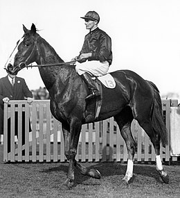 Rogilla, 1932 winner, George Robinson up Rogilla 1932 VATC Caulfield Cup Return to Scale Jockey George Robinson Trainer Les Haigh.jpg