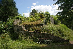 Zřícenina hradu Rosenau