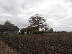 Barn with tree