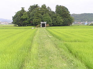 <span class="mw-page-title-main">Chinju no Mori</span> Japanese sacred forest